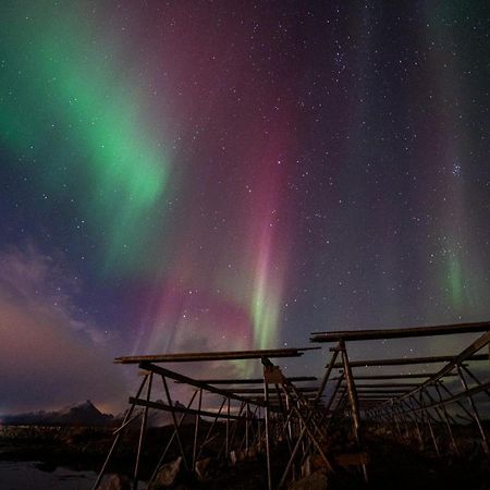 Fish Factory -The Real Lofoten Experience バルスタ エクステリア 写真